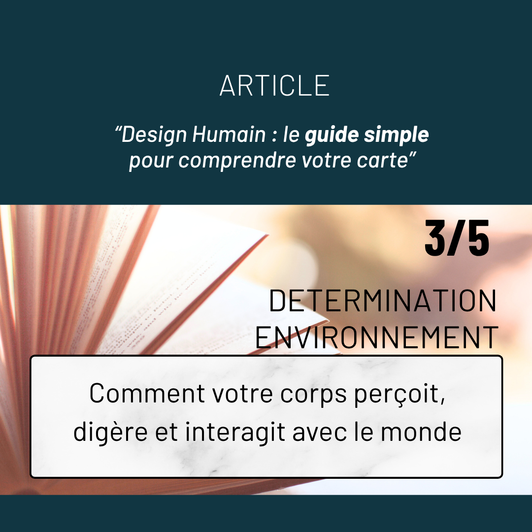 3/5 L'essentiel - Déterminations et Environnements en détails